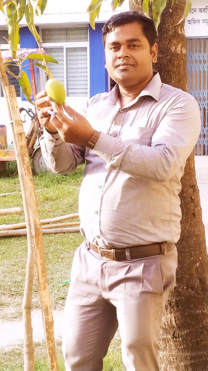 পল্লী ভবনে আমের সমারহ