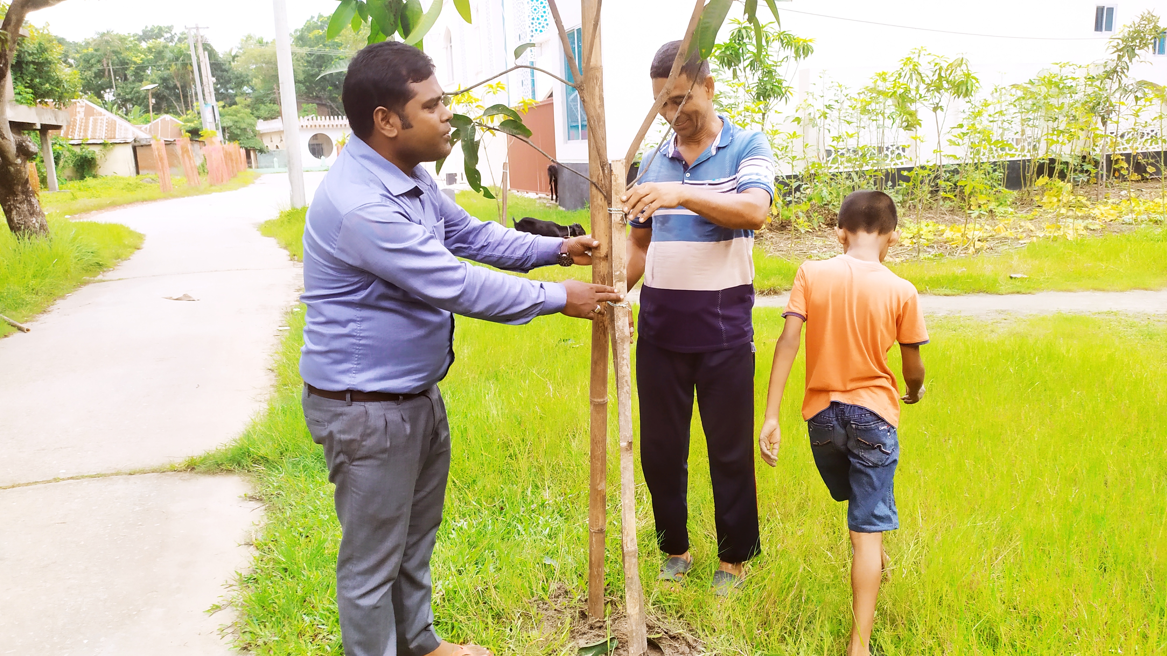 বৃক্ষরোপন