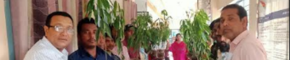 বীজ বিতরণ