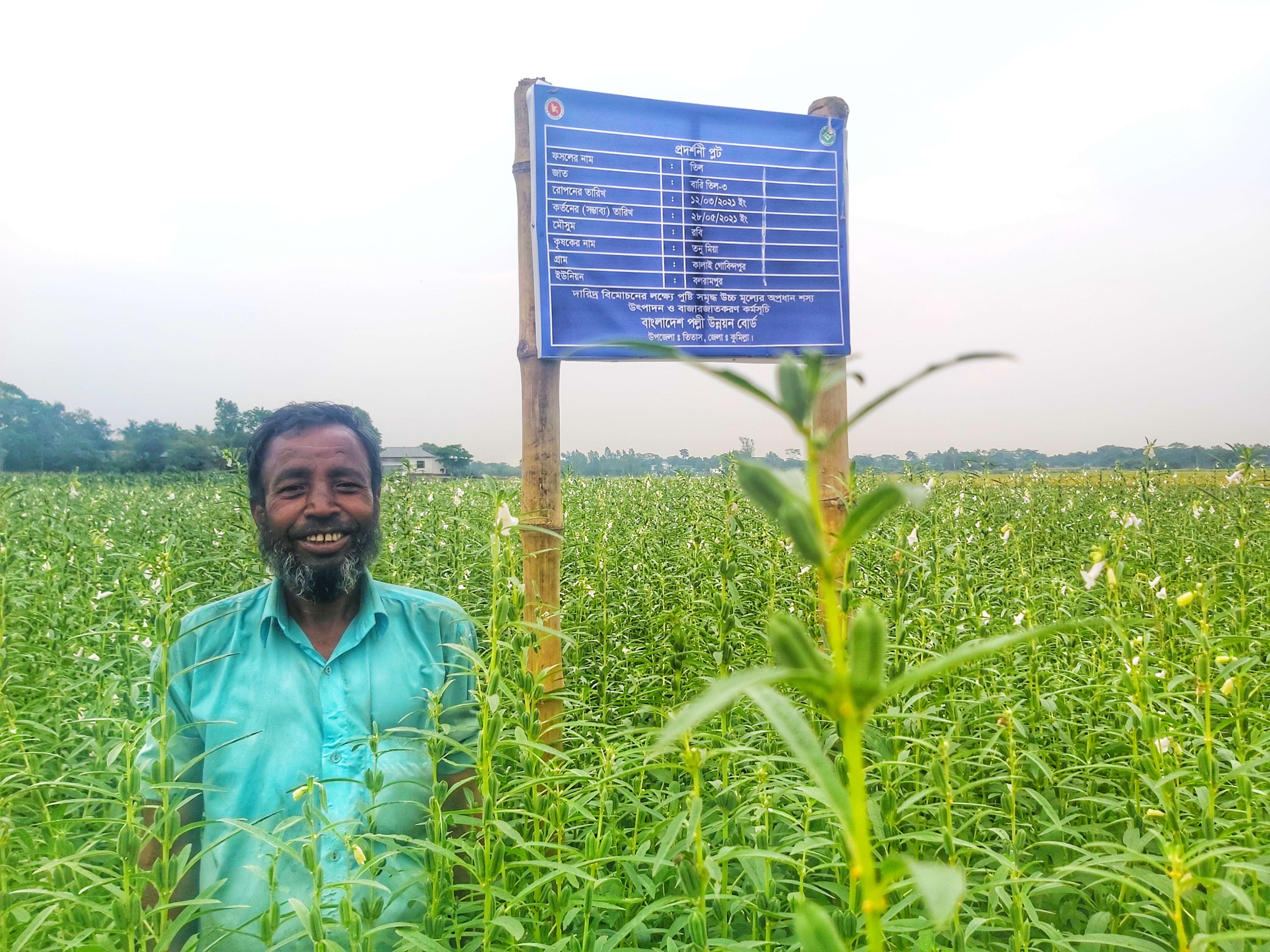 প্রদর্শনী প্লট