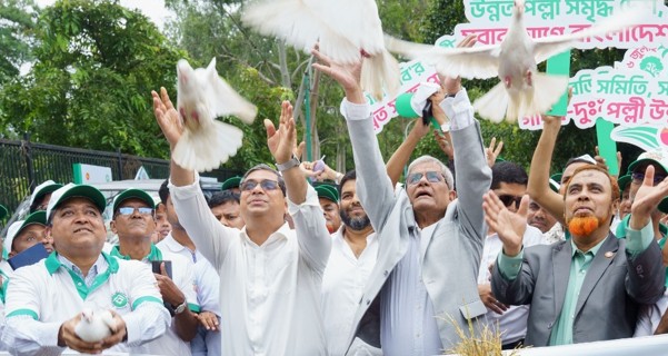 কবুতর