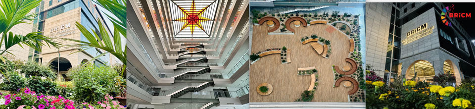 বিআরআইসিএম ভবন-1