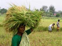 শ্রমিক ব্যবস্থাপনা