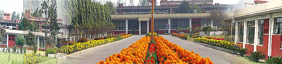 Head Quarter1, Gazipur