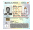 ড্রাইভিং লাইসেন্স