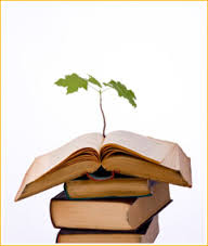 প্রতিবেদন