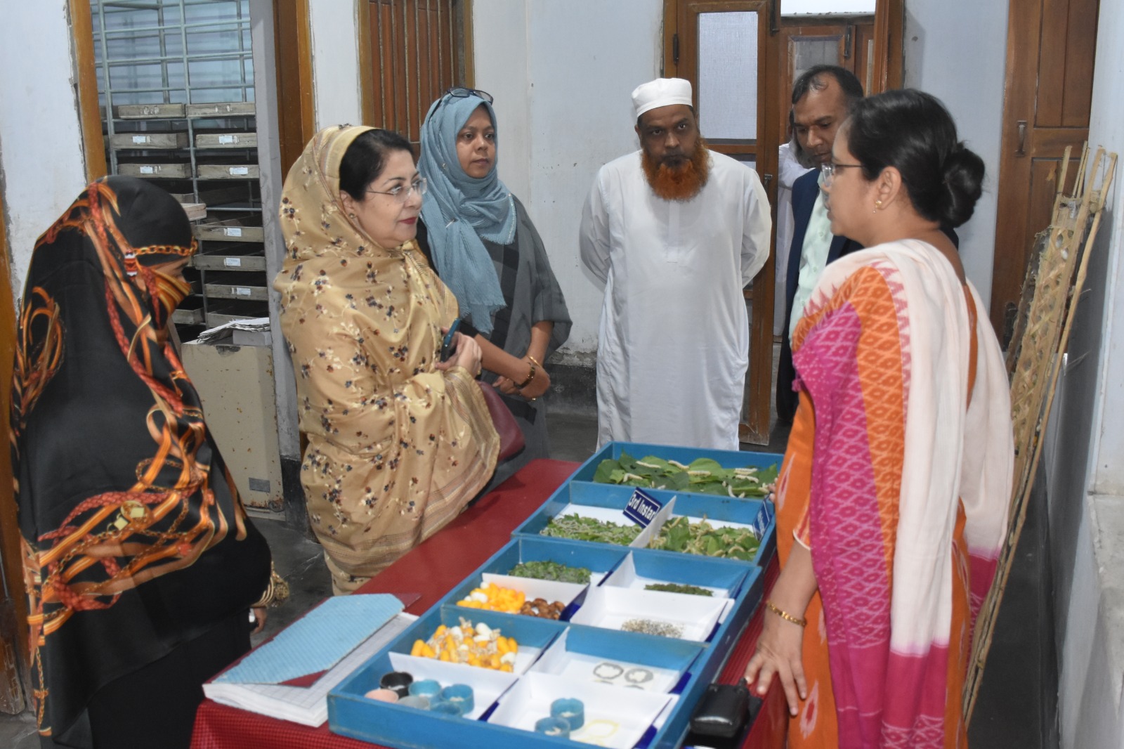 রেশমকীটের জাত সরেজমিনে পরিদর্শণ