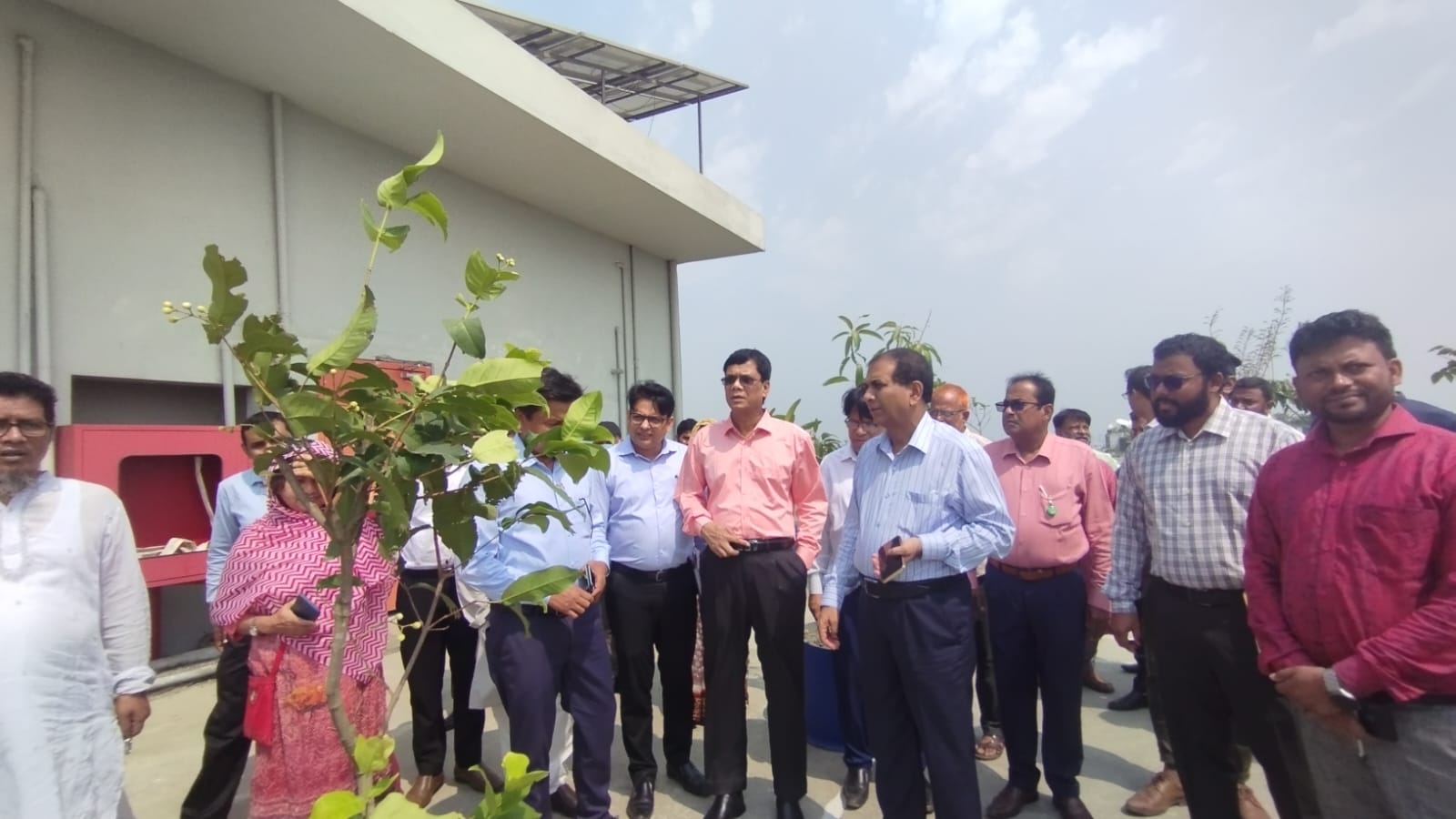 বিসিক ছাদ বাগান