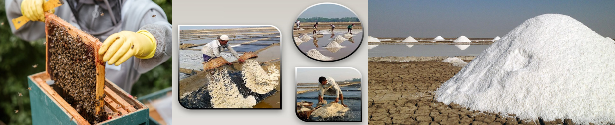 মধু ও লবণ