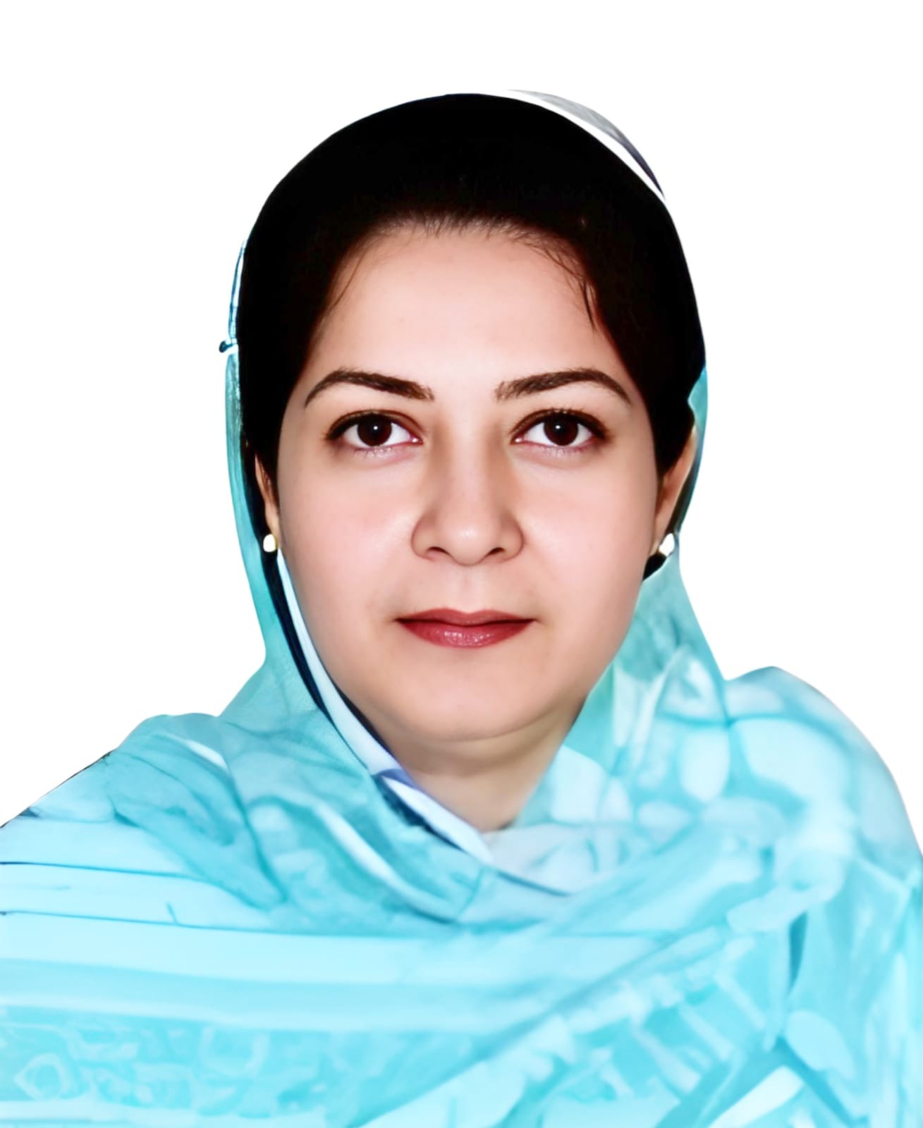 minister
