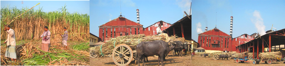 ব্যানার-৪