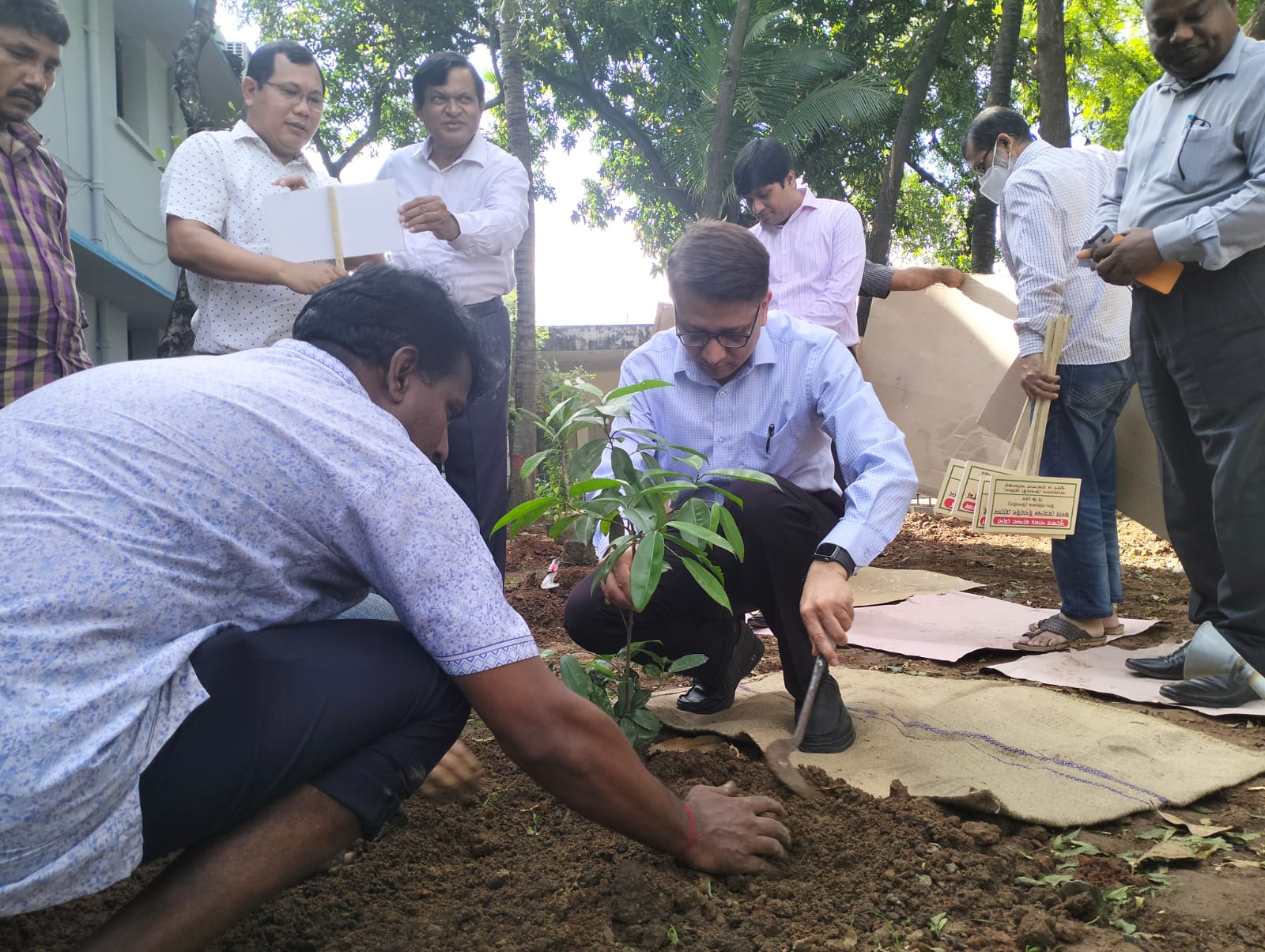 বাংলাদেশ স্টেশনারী অফিস প্রাঙ্গনে বৃক্ষরোপন করছেন অধিদপ্তরের পরিচালক মহোদয়
