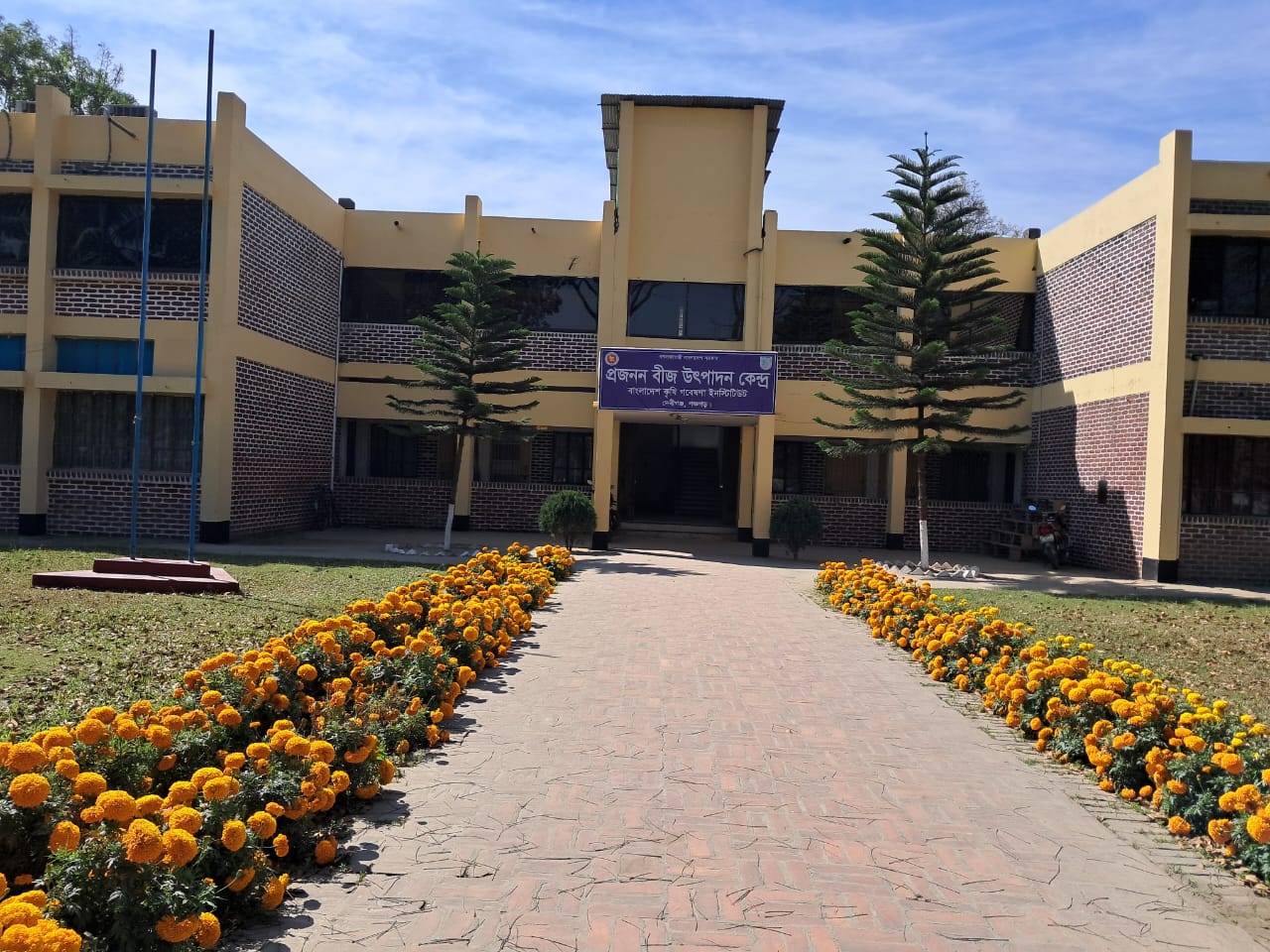 বিএসপিসি,দেবিগঞ্জ,পঞ্চগড়