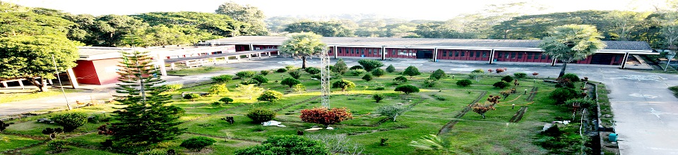 প্রতিষ্ঠানের ছবি-৮