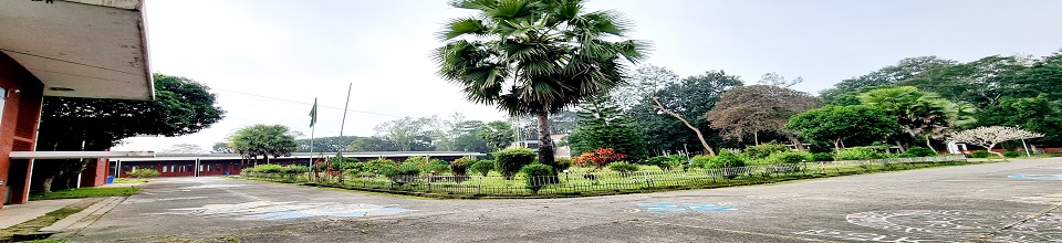 প্রতিষ্ঠানের ছবি-7