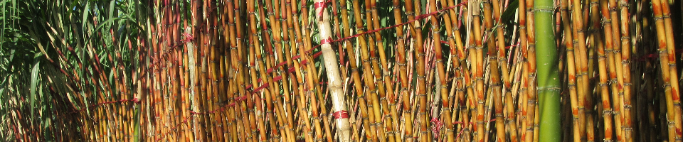 বাংলাদেশ সুগারক্রপ গবেষণা ইনস্টিটিউট, বান্দরবান