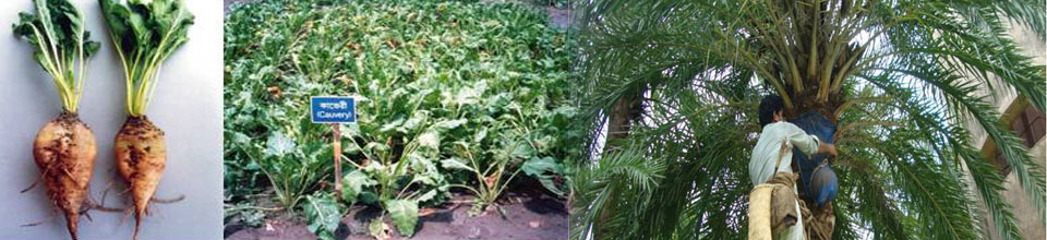 ব্যানার-২