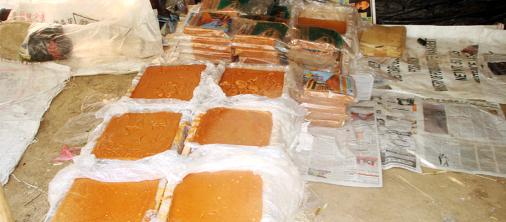 বান্দরবান এলাকায় ইক্ষু চাষ