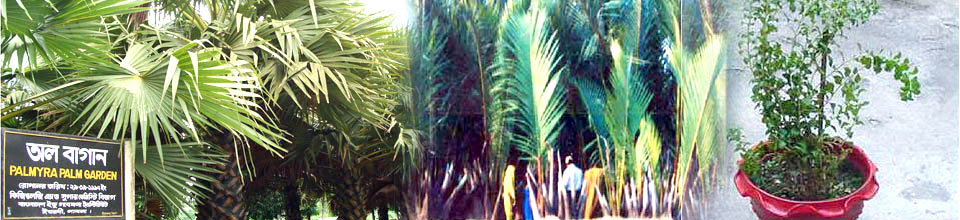 ব্যানার-১