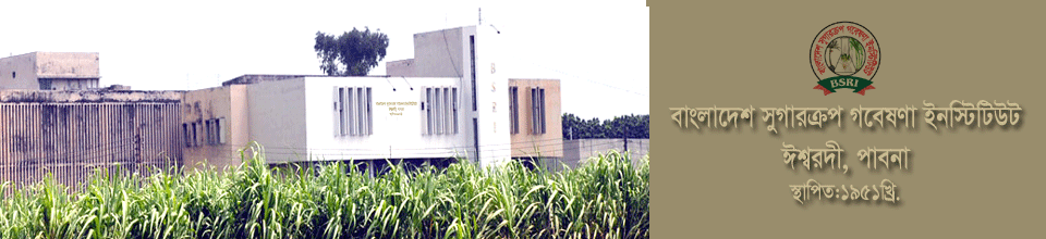 ব্যানার-৩এম