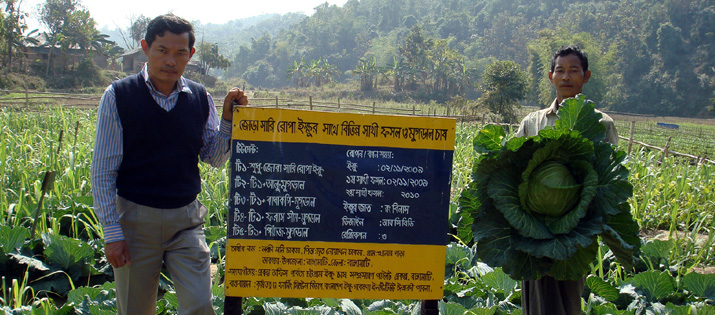 রাঙ্গামাটি এলাকায় ইক্ষু চাষ