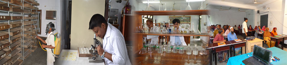 গবেষণা কার্যক্রম