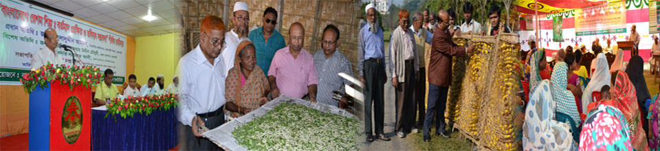 পরিচালক মাঠ পরিদর্শণ