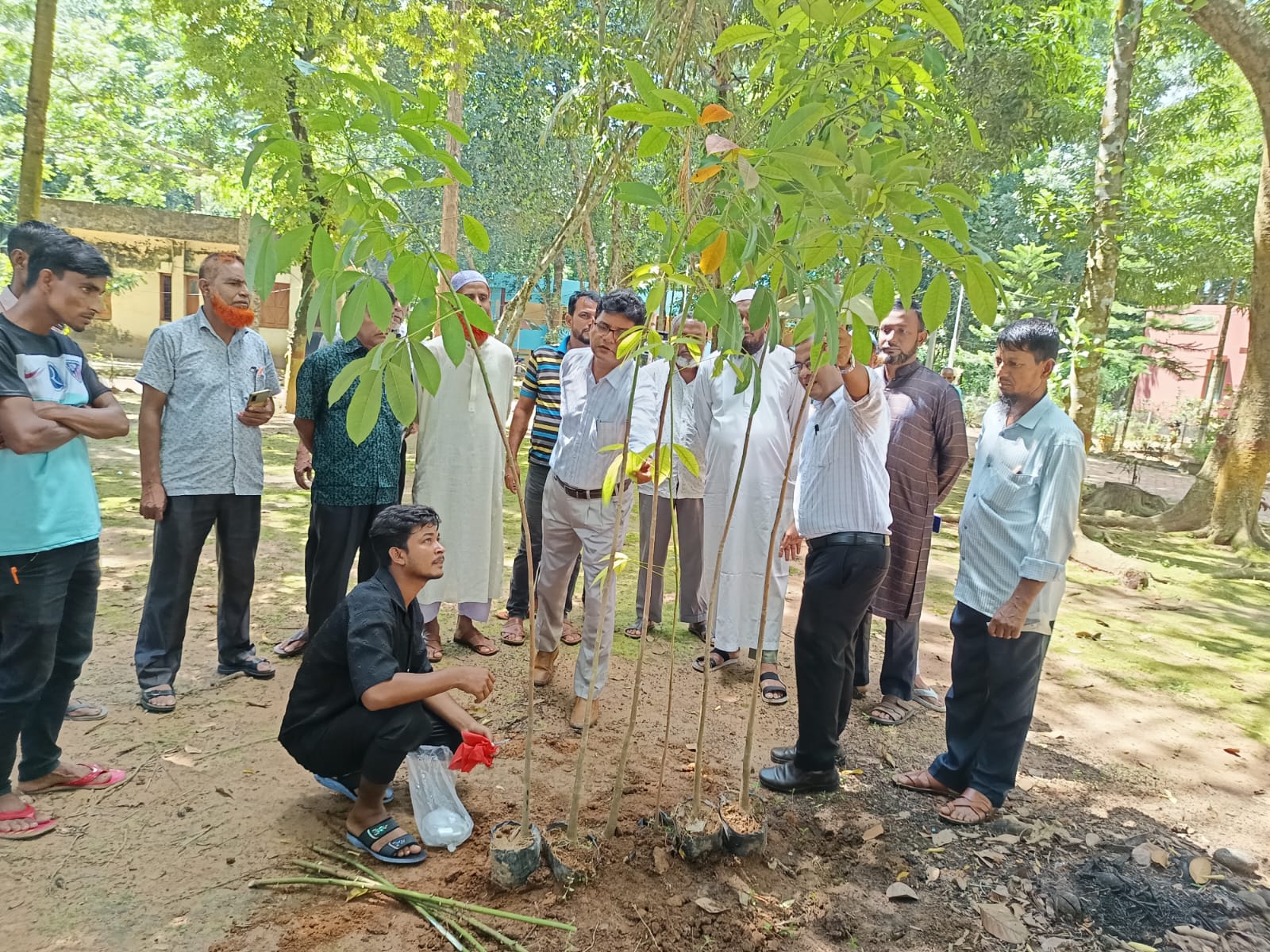 গ্রাফটিং ব্যবহারিক প্রশিক্ষণ