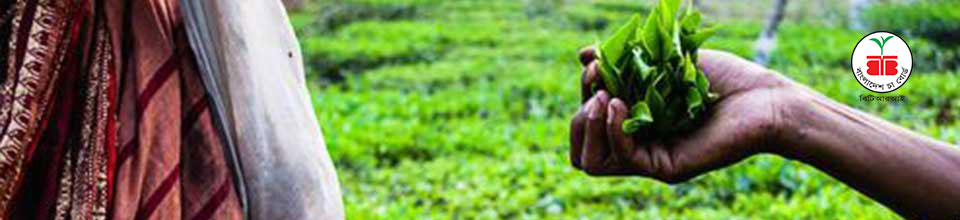 বিটিআরআই ব্যানার ৩