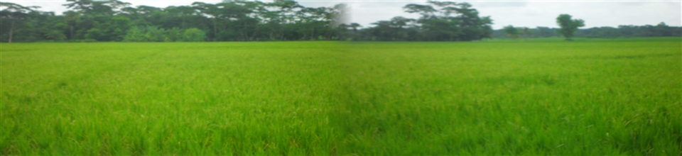 বুকাবুনিয়া ইউনিয়নের প্রাকৃতিক দৃশ্য