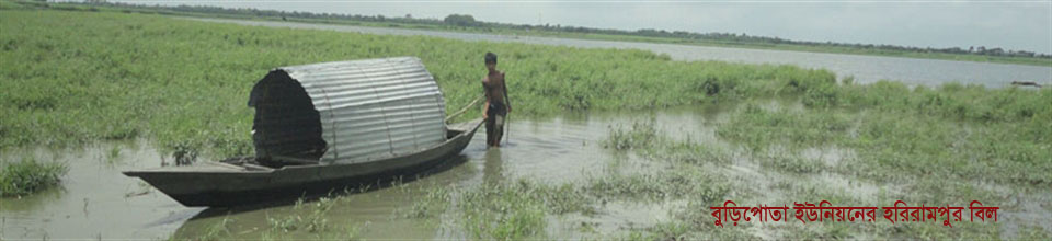 বুড়িপোতা ইউনিয়নের হরিরামপুর বিল