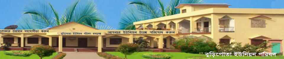 বুড়িপোতা ইউনিয়ন পরিষদ