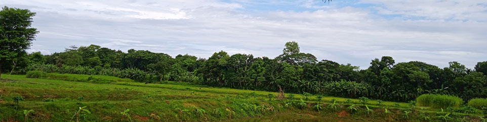 ইউপির পিছনের দৃশ্য