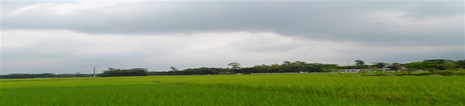 খাদ্য উৎপাদন