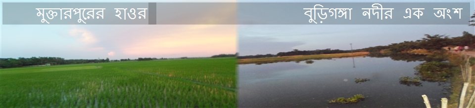 বুরুঙ্গাবাজার ইউনিয়ন