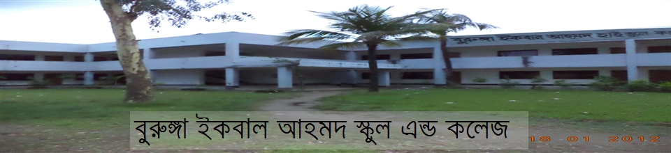 বুরুঙ্গা ইকবাল আহমদ স্কুল এন্ড কলেজ