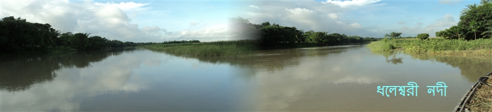 ধলেশ্বরী নদী