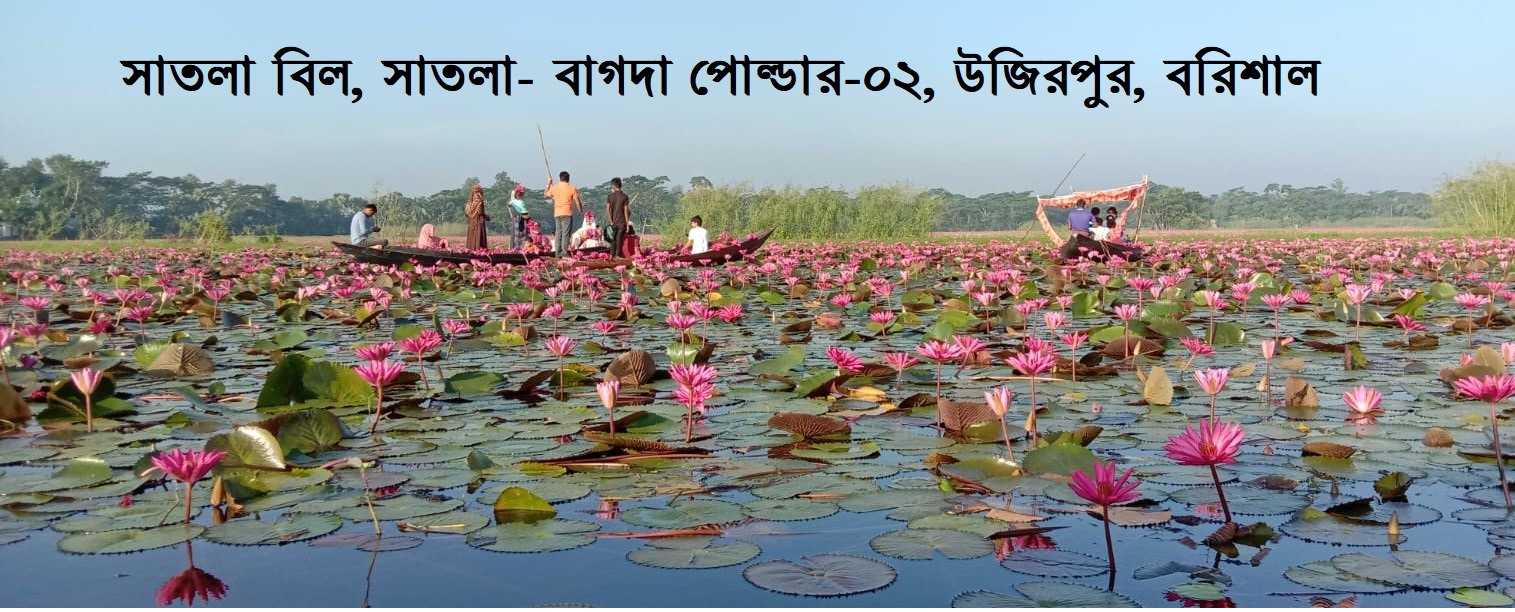 সাতলা বিল, সাতলা- বাগদা পোল্ডার-২, উজিরপুর, বরিশাল