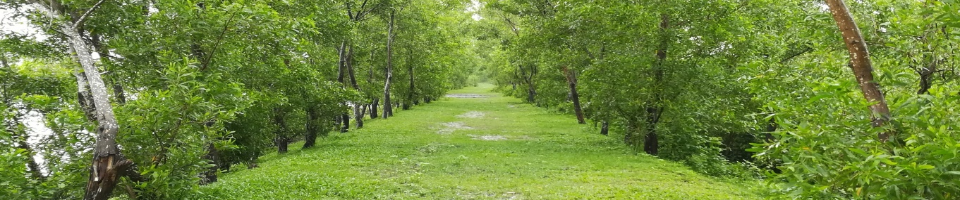 প্রধান প্রকৌশলীর দপ্তর, দক্ষিণ-পূর্বাঞ্চল, বাপাউবো, চট্টগ্রাম