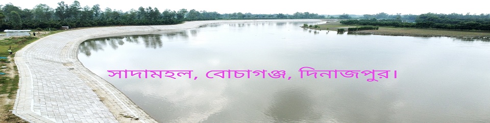 স্থায়ী নদী তীর প্রতিরক্ষা কাজ।