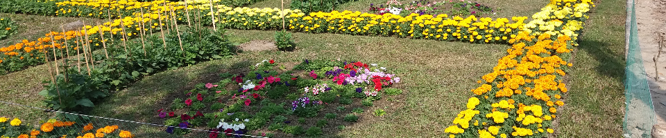 অফিস চত্তর