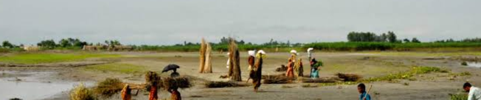 চিলমারী নদী বন্দর