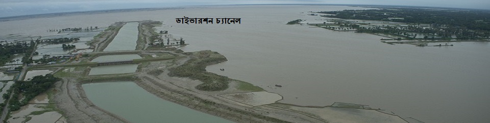 ডাইভারশন চ্যানেল