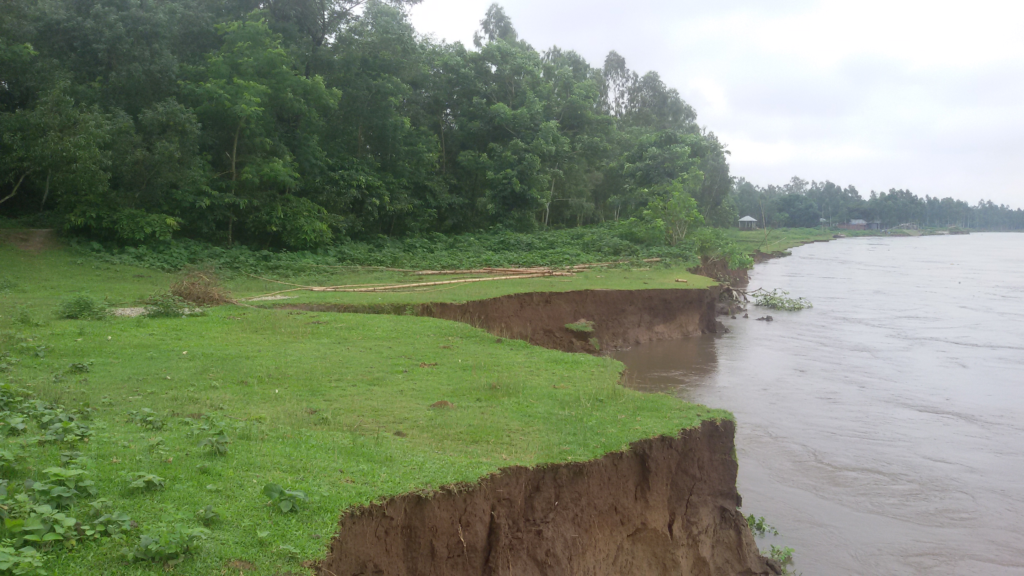 Severe River Erosion at Dhulajhari, Debigonj.