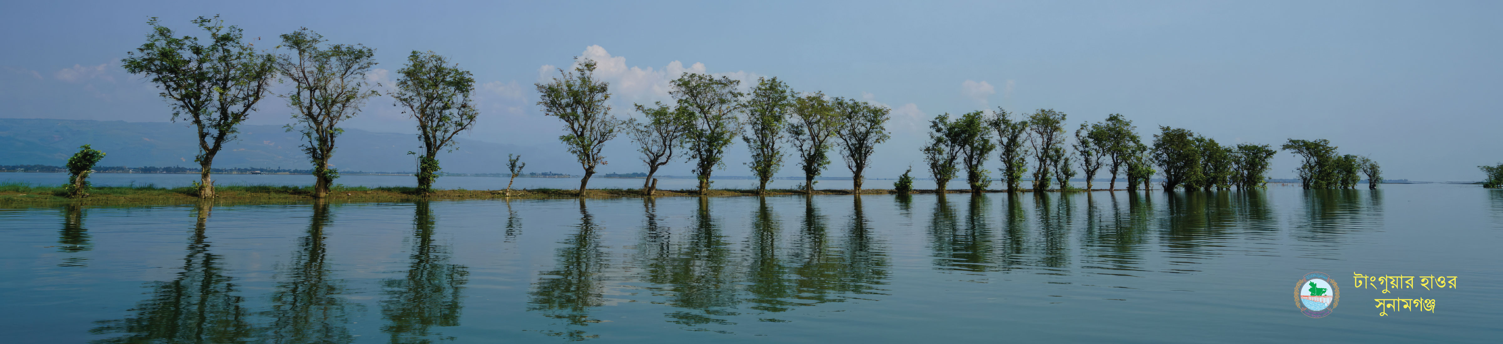 টাংগুয়ার হাওর
