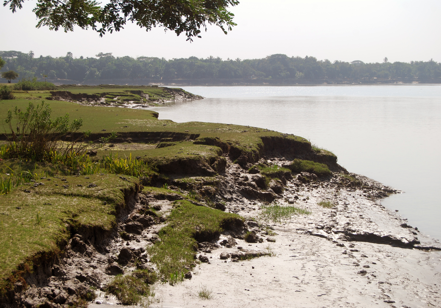 দিঘলিয়া