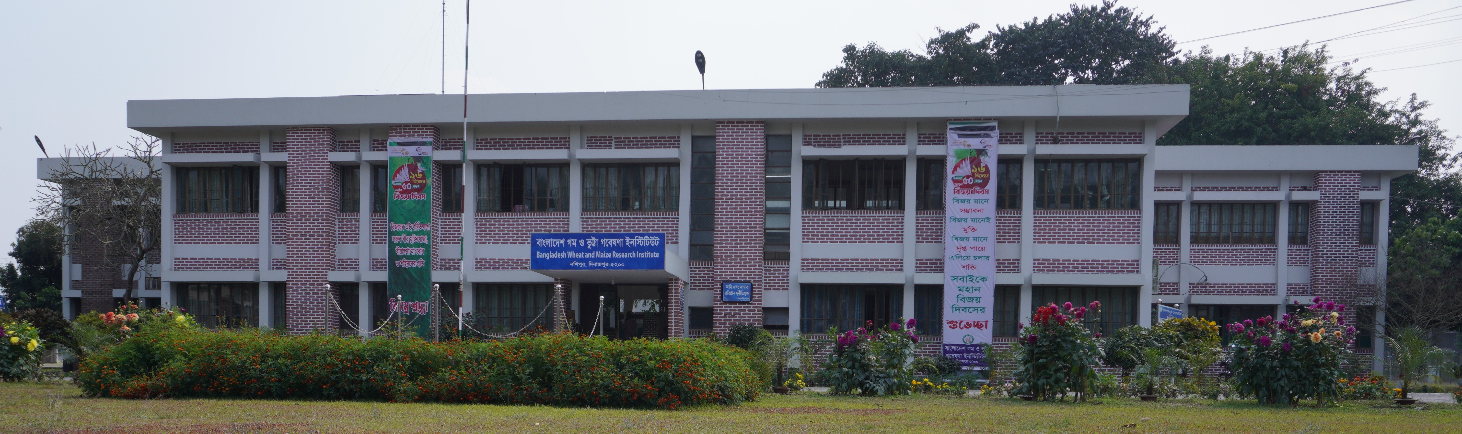 বাংলাদেশ গম ও ভুট্টা গবেষণা ইনস্টিটিউট