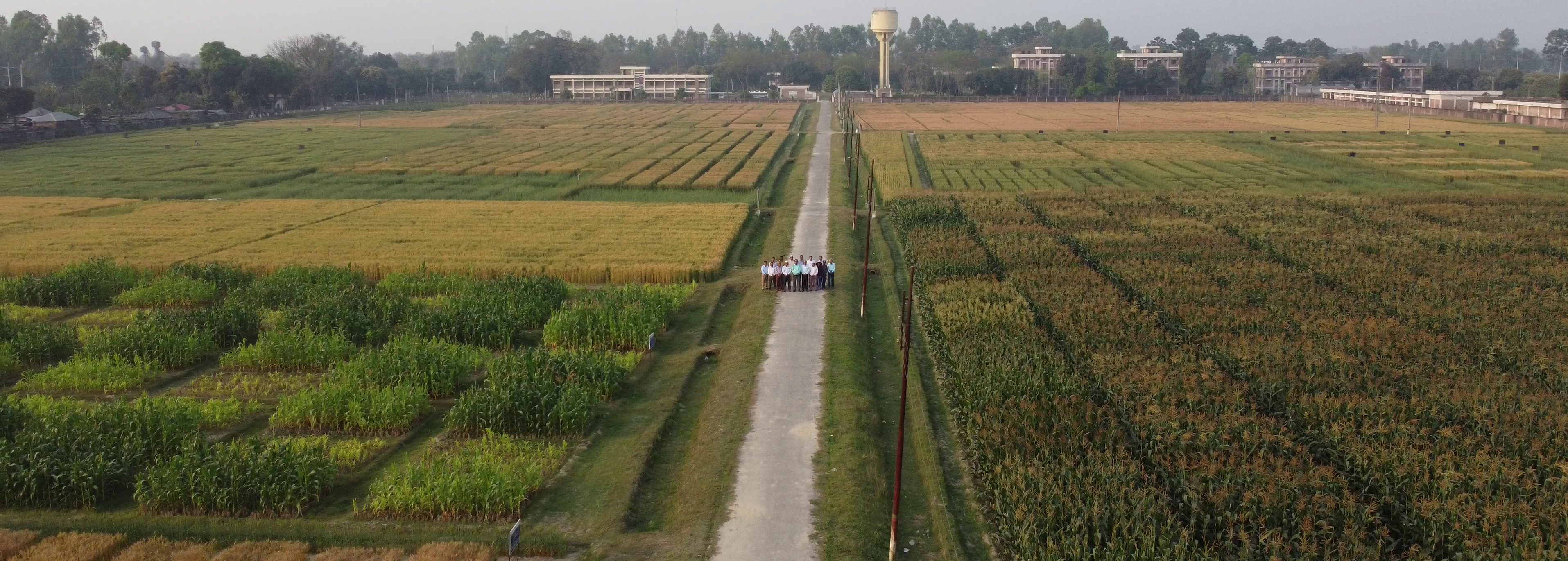 বাগভুগই এর এরিয়াল ভিউ