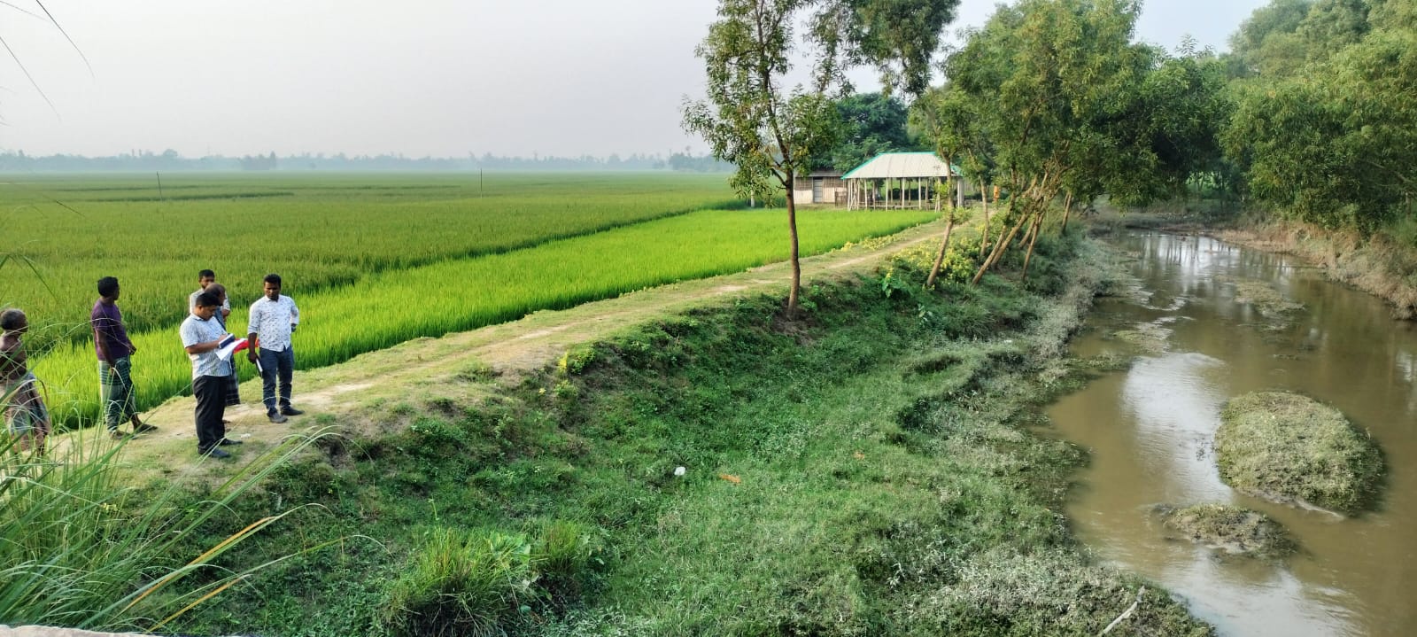 ফটো গ্যালারী