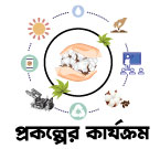 প্রকল্পের কার্যক্রম